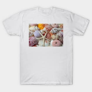 White Starfish With Sea Urchins T-Shirt